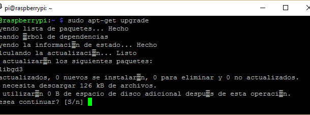 Actualizando Raspbian Linux Upgrade