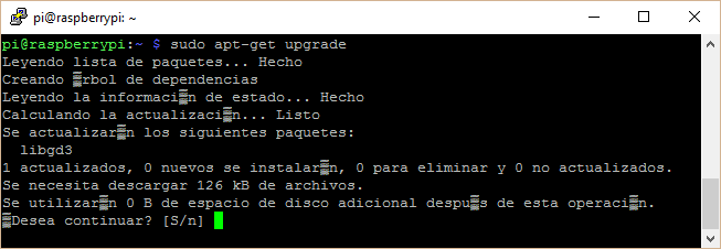 Actualizando Raspbian Linux