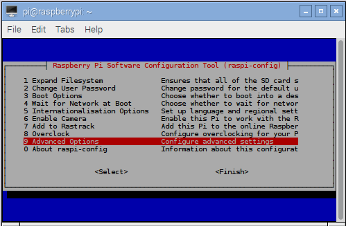 raspi config