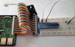 blog pulsador
