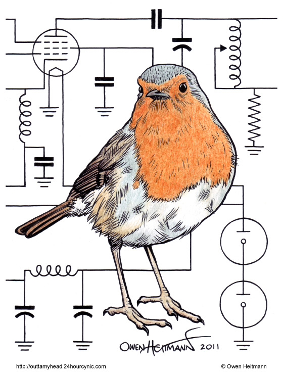 Pájaro con esquema eléctrico