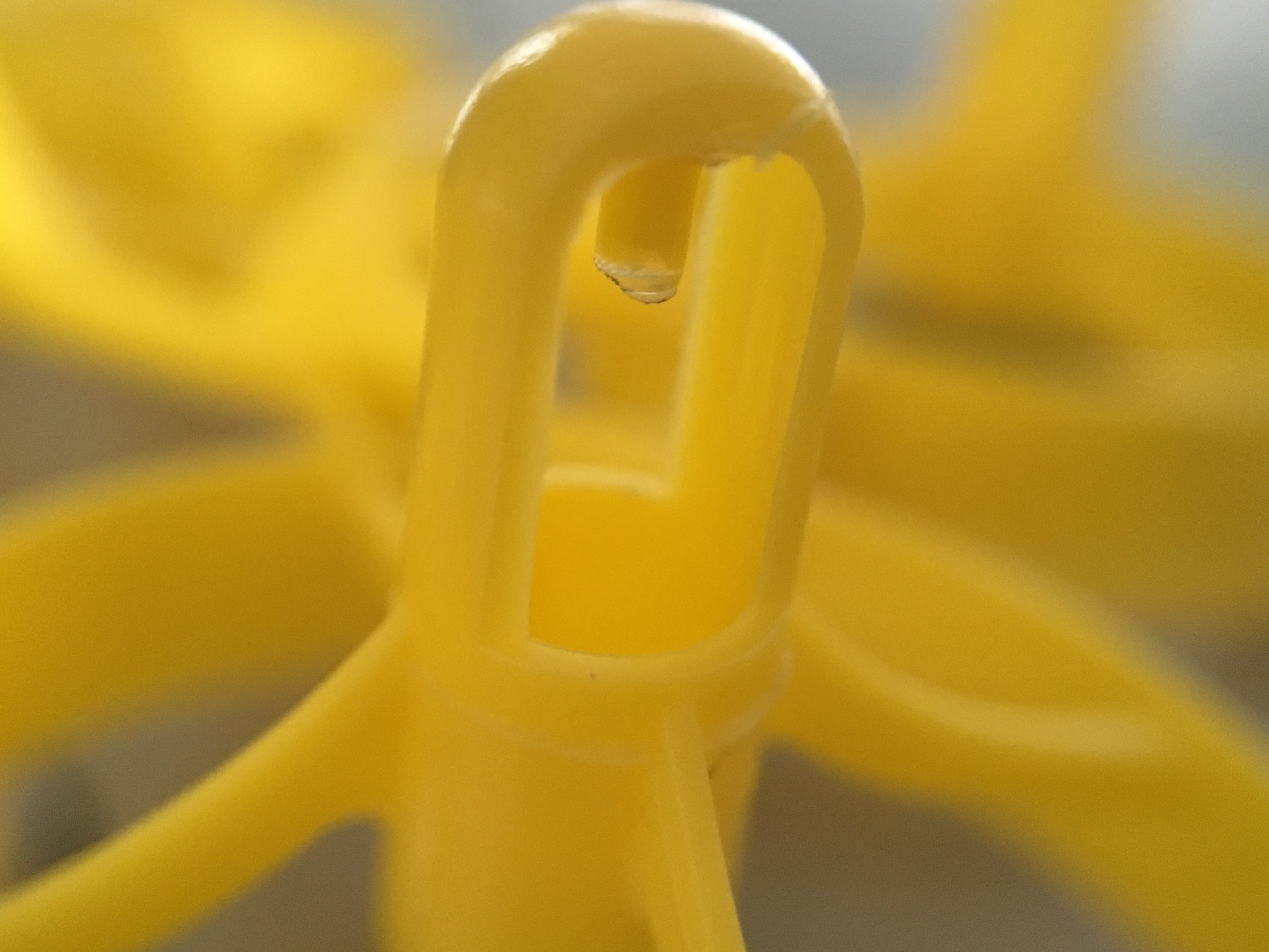 Crockroach frame detail