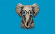 Elefantito con gafas