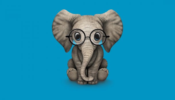 Elefantito con gafas