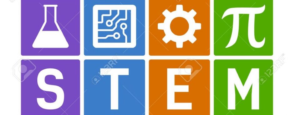 Poco interés por STEM Interes por las ramas tecnicas