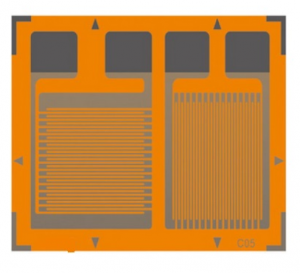 Strain gauge