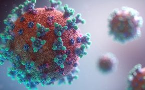 Virus ycambios